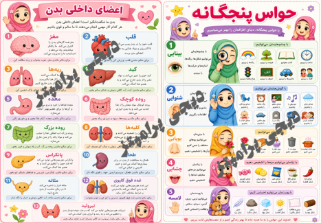 پکیج دو پوستر آموزشی: معرفی حواس پنجگانه و اعضای بدن